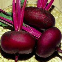 Beetroot Egypt Improved