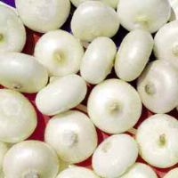 White Onion Marzatica