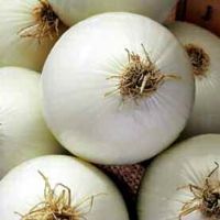 Onion Agostini