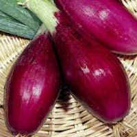 Tropea Red Onion Long