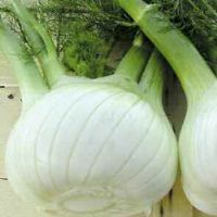 Fennel Tarquinio