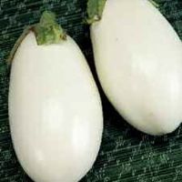 White Aubergine